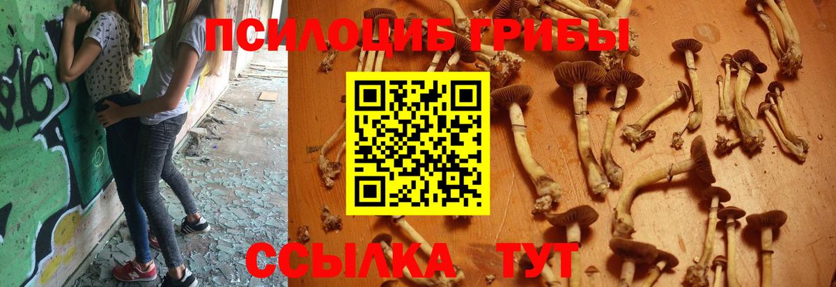 Галлюциногенные грибы прущие грибы  Псилоцибиновые грибы прущие грибы  Саяногорск  Вход с VPN 