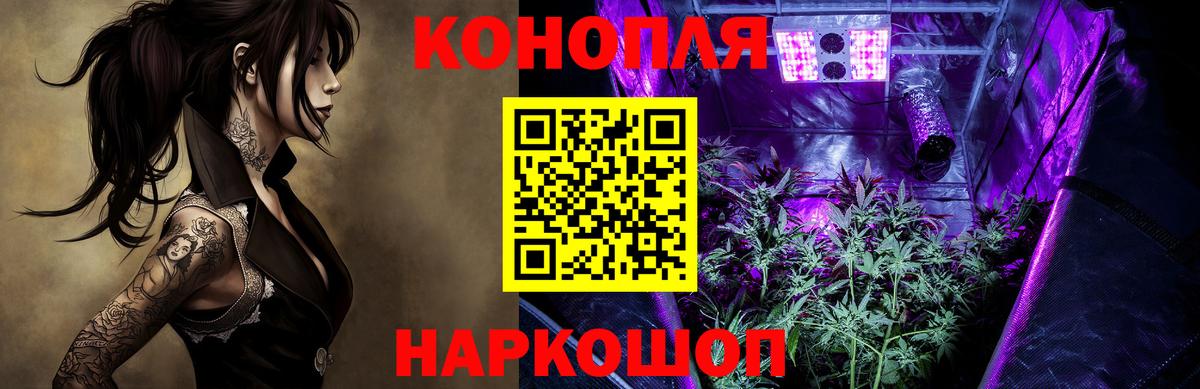 Бошки Шишки семена Саяногорск